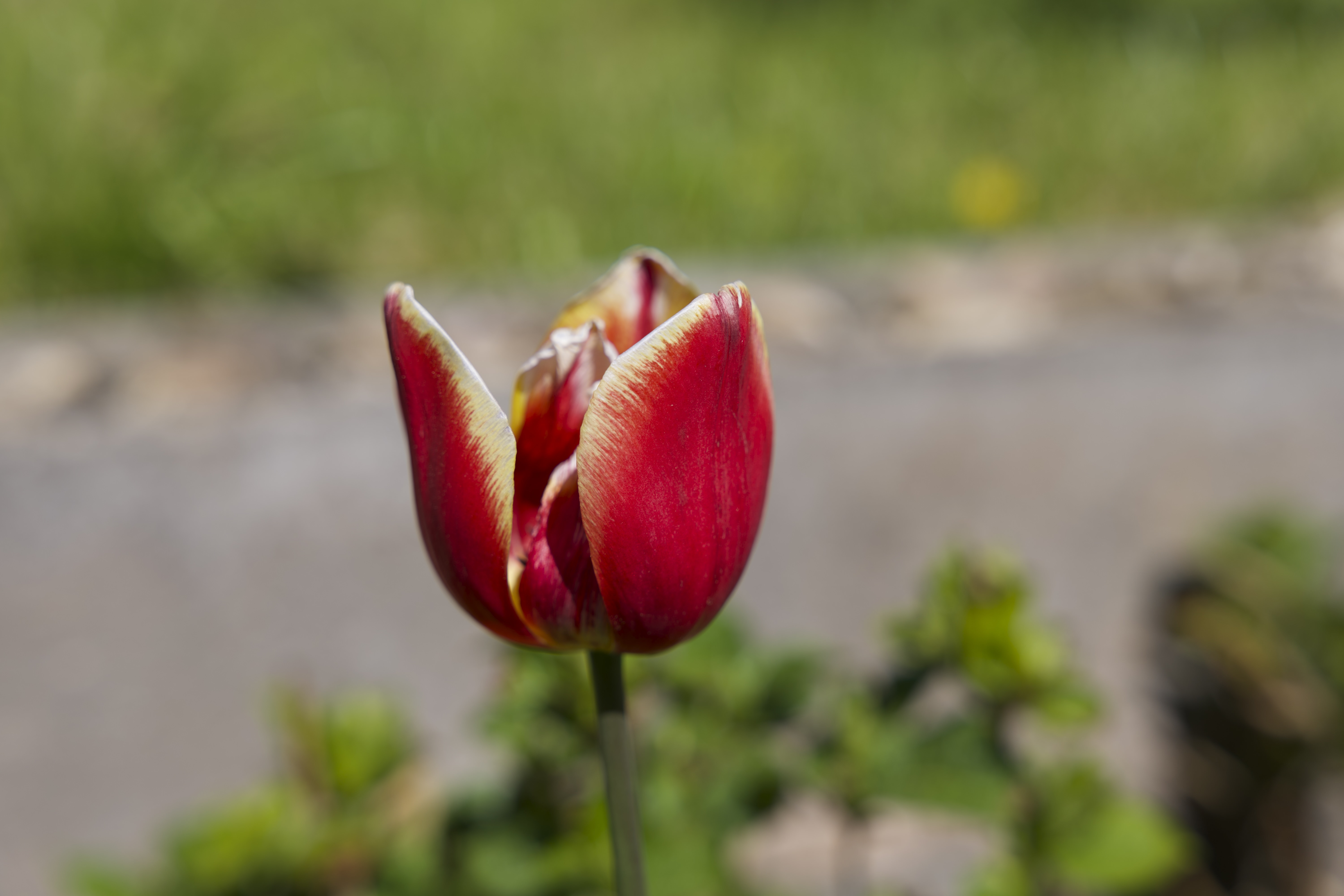 L1001679