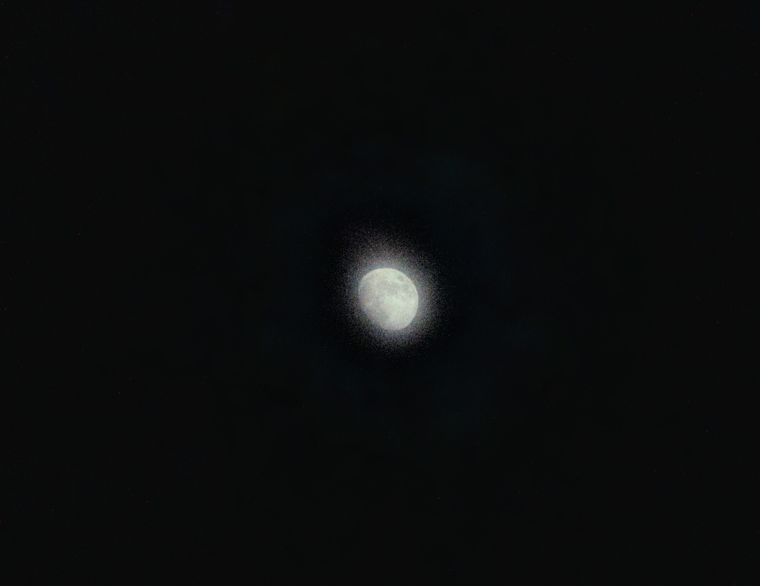 L1001474-scaled