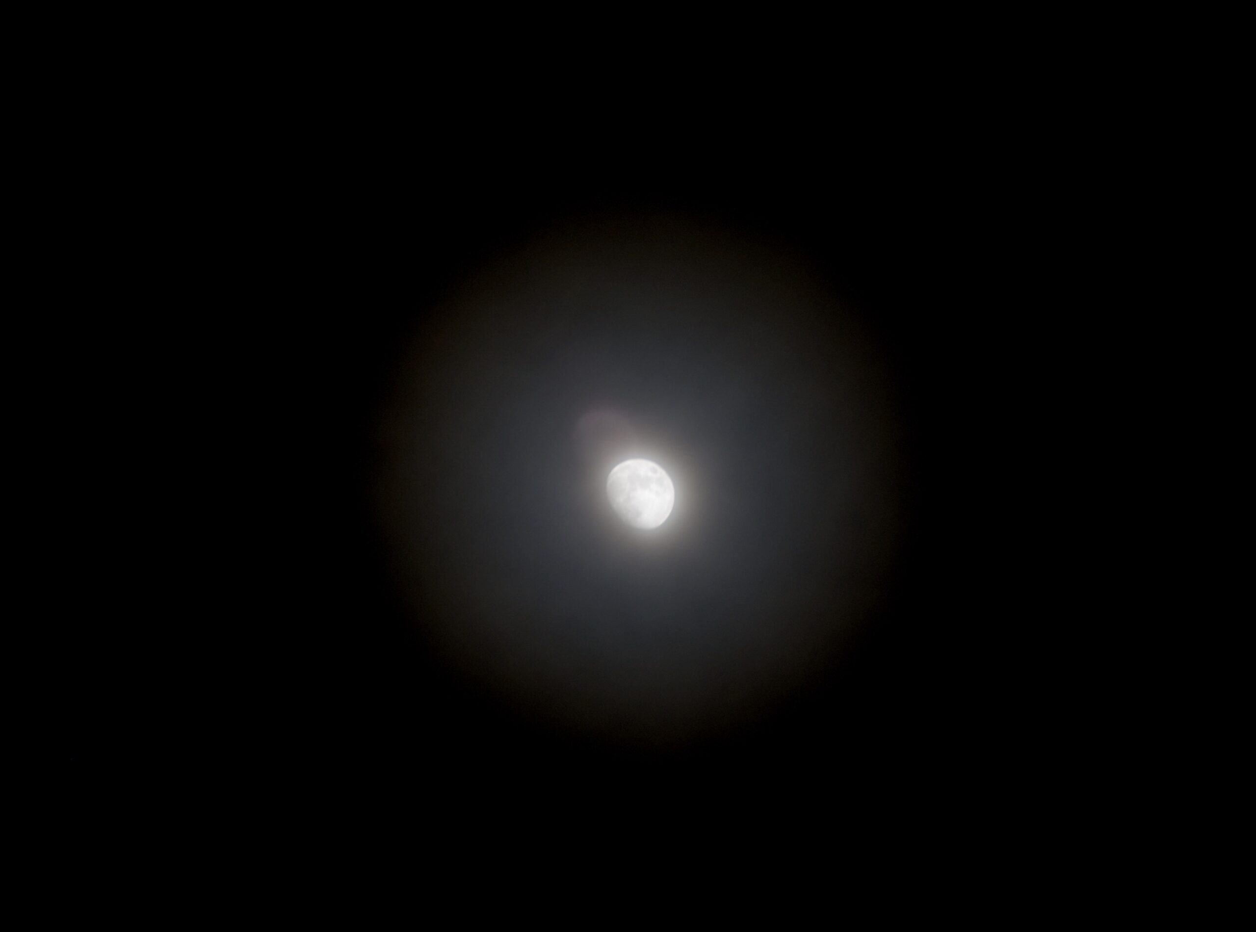 L1001476-scaled